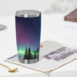 449 Aurora Night View Tumbler